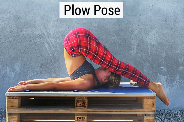 plow yoga pose