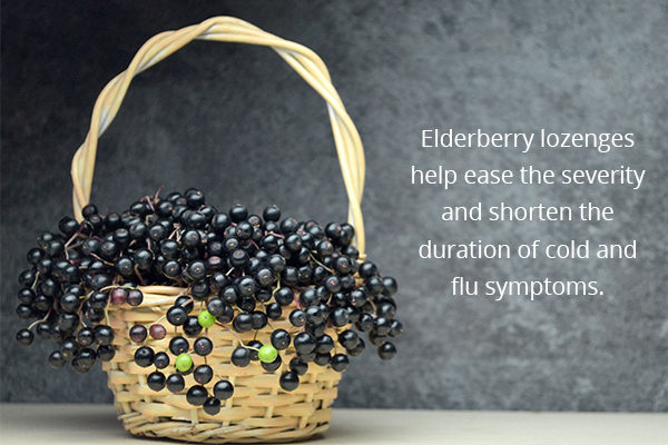 elderberries are nutritious to consume during winters