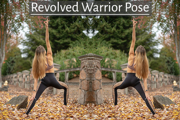 revolved warrior yoga pose