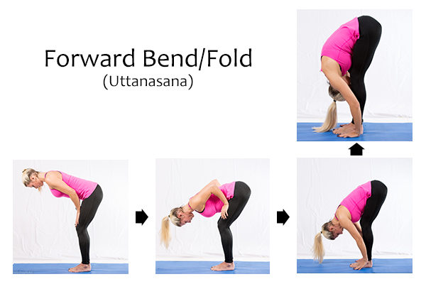 forward bend/fold (uttanasana) to relieve back pain when sitting all day