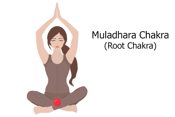 muladhara chakra (root chakra)