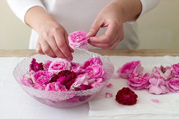 tips to remember for making rose water