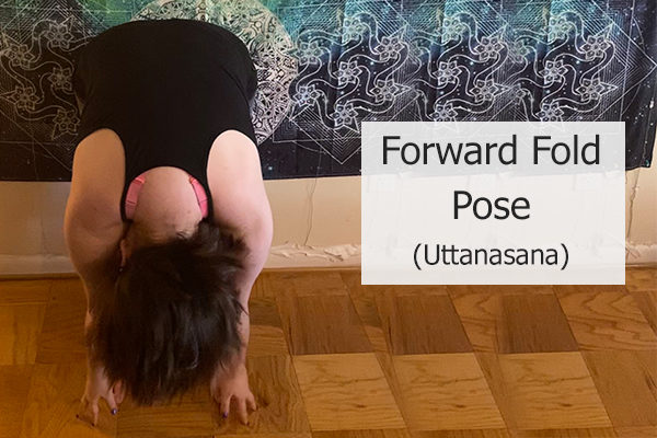 forward fold pose (uttanasana)