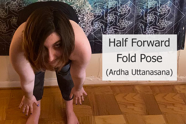 half forward fold pose )ardh uttanasana)
