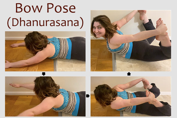 bow yoga pose (dhanurasana)