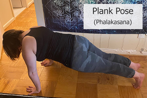 plank pose (phalakasana)