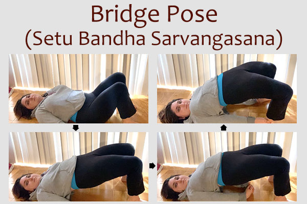 bridge pose (setu bandha sarvangasana)