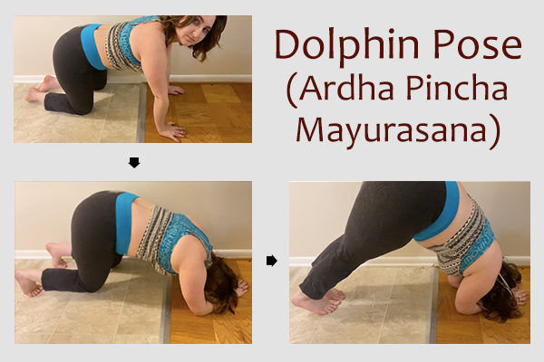 dolphin pose (ardha pincha mayurasana)