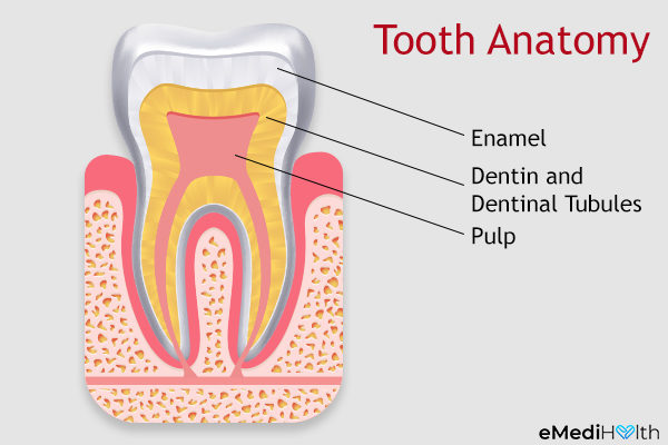causes of tooth sensitivity