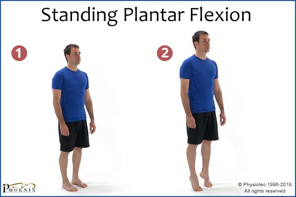 standing plantar flexion exercise