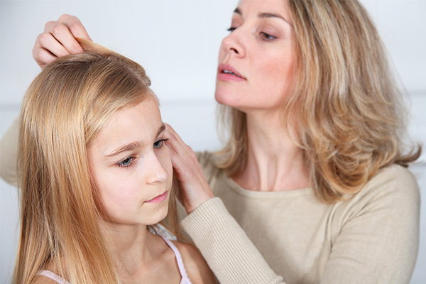 who are at risk of head lice infestation?