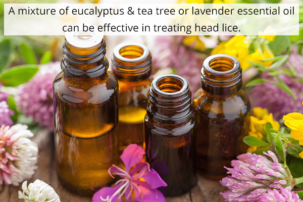 essential oils may help in managing head lice