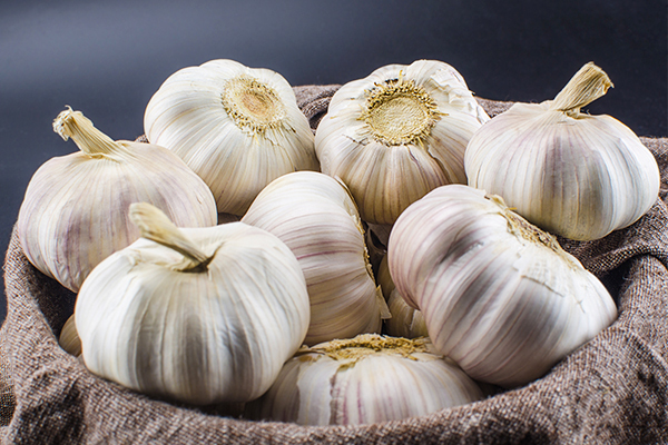 garlic consumption may aid relief in dental abscess
