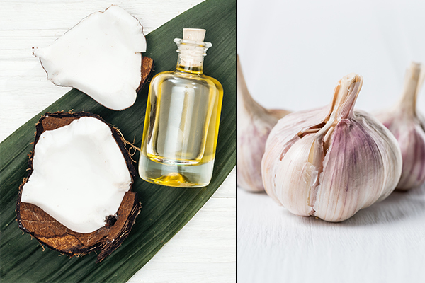 usage of coconut oil and garlic can help prevent vaginal thrush 