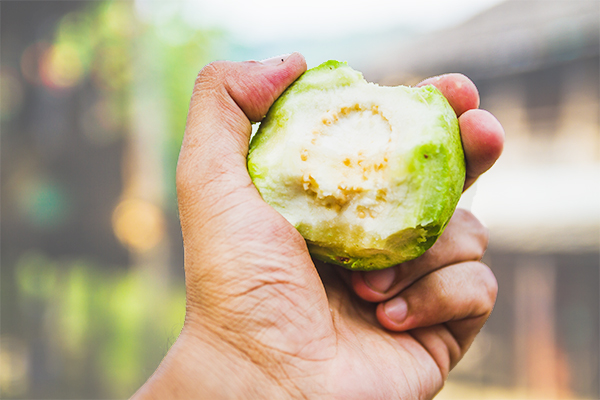 cautions and considerations before consuming guava