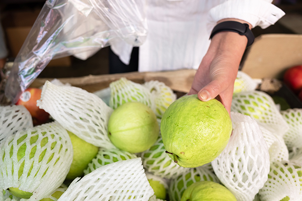 proper selection and storage tips for guava
