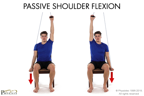 passive shoulder flexion