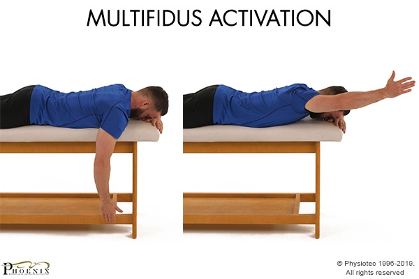 multifidus activation