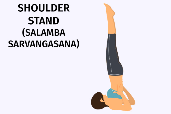 shoulder stand (salamba sarvangasana)