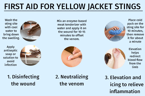 first aid for yellow jacket stings