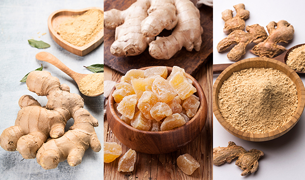 uses and applications of ginger