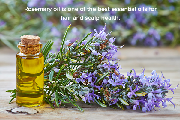 rosemary oil is beneficial for hair health