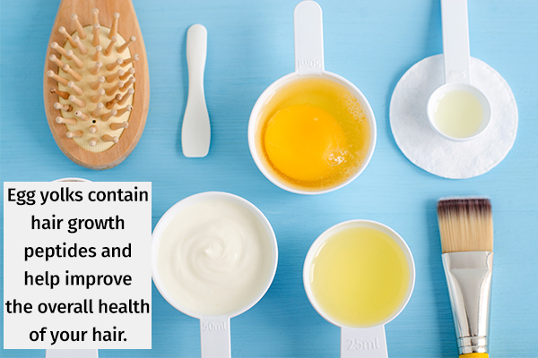 egg yolks can help improve your overall hair health