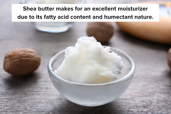 shea butter can help moisturize your skin