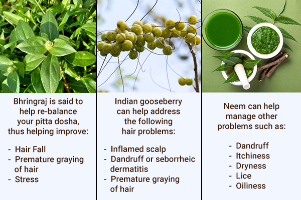 bhringraj, neem, Indian gooseberry can cure hair problems