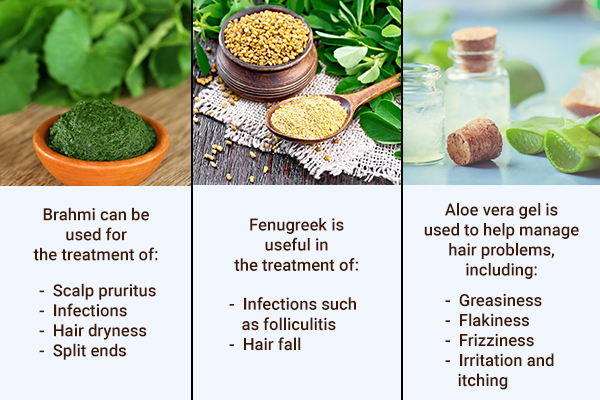 brahmi, fenugreek, aloe vera gel can help prevent hair problems