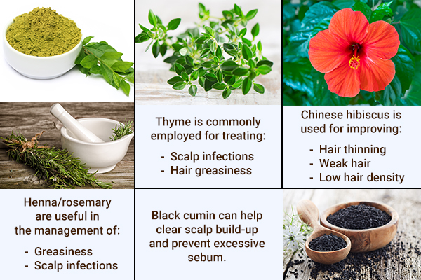 rosemary, thyme, Chinese hibiscus can help manage hair troubles