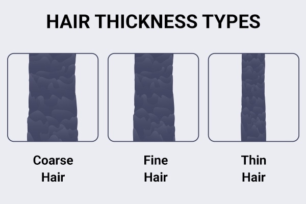 coarse, fine, and thin hair explained