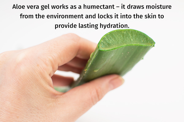 aloe vera gel can help moisturize and repair your skin