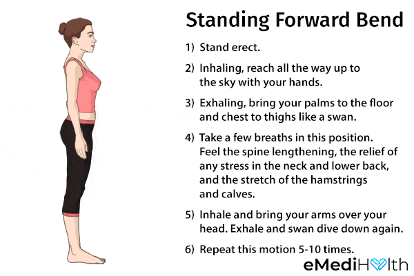 standing forward bend