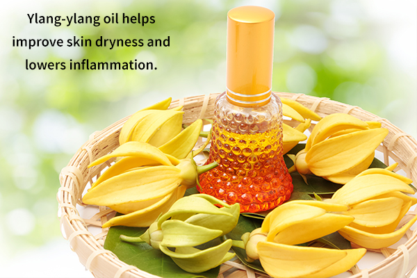  ylang-ylang oil helps improve skin dryness and lowers inflammation