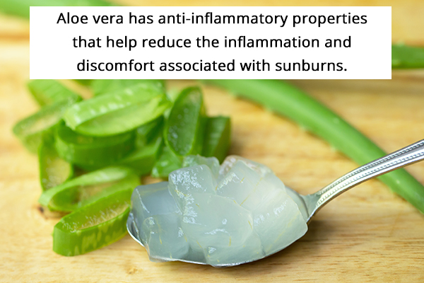 aloe vera gel can help manage discomfort from sunburns