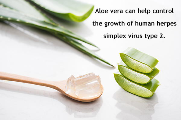 aloe vera can help control skin infections