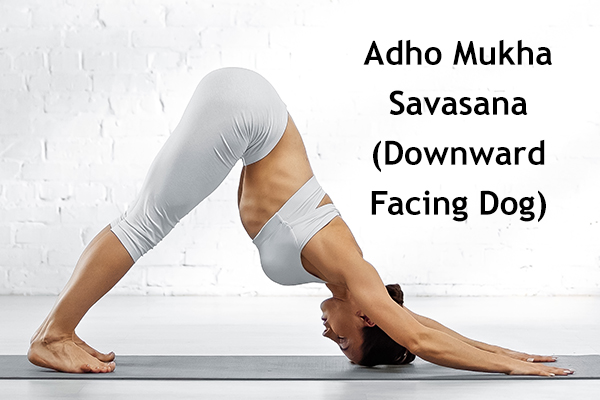 adho mukha savasana (downward facing dog)