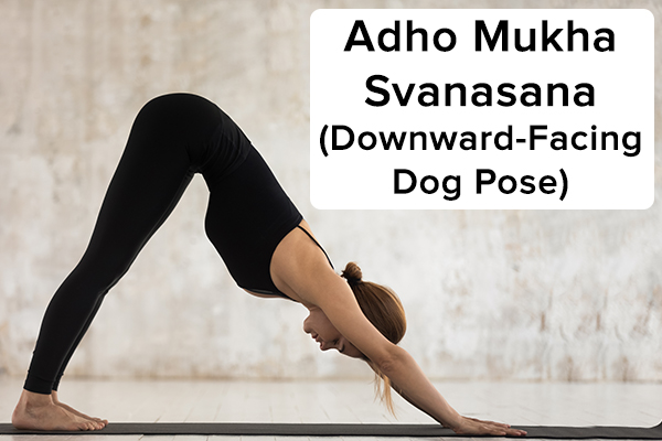 adho mukha svanasana (downward-facing dog pose)
