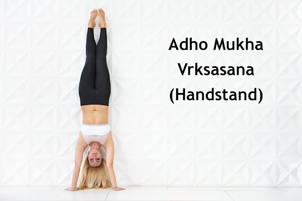 adho mukha vrksasana (handstand)
