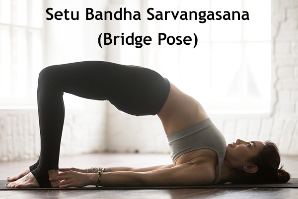 setu bandha sarvangasana (bridge pose)