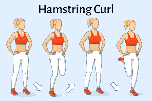 hamstring curl for healthy knees