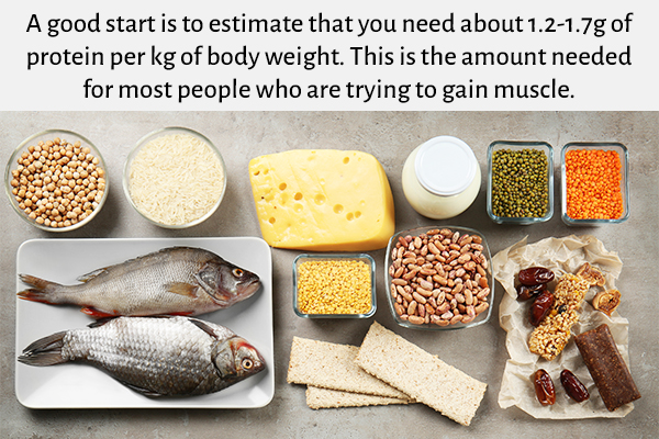 protein intake is a must for muscle building