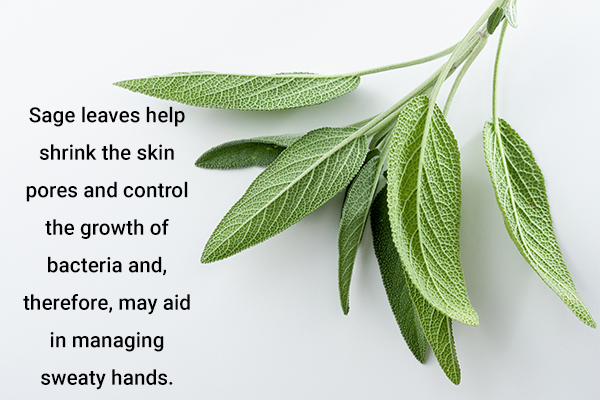sage leaves usage can help manage sweaty hands