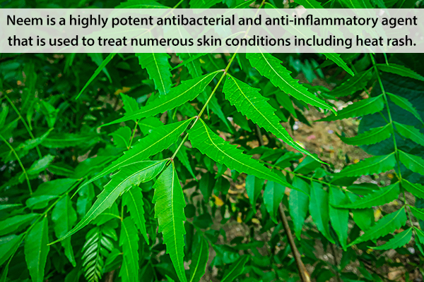 neem can help soothe prickly heat