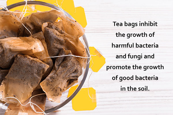 used tea bags can be further reused and added to a compost