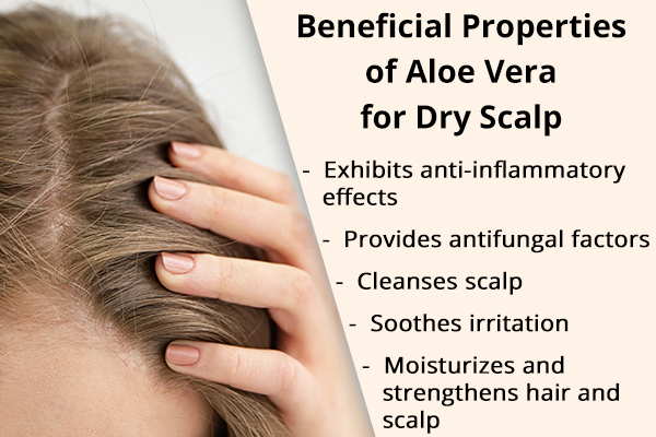 how aloe vera benefits in managing dry scalp