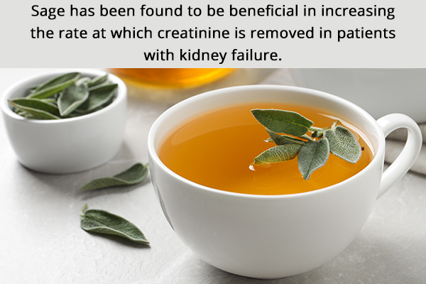 sage has found to be helpful in removing excess creatinine