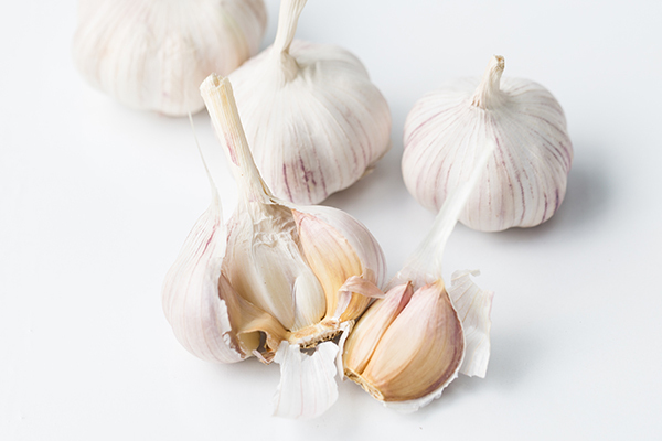 consuming garlic may help prevent breast infections