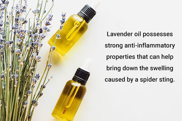 lavender oil usage can help soothe spider bites
